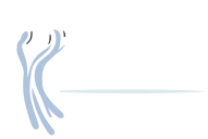 bebo Foundation